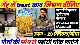 गेहूँ में पहले पानी पर जरुरी खाद और टॉनिक  Gehu me kalle kaise badhaye  Gehu ki kheti Gehun kheti [upl. by Graniah]