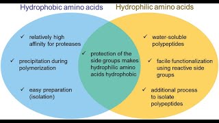 Hydropathy of Amino Acids amp Its Role in Protein Structure Hydrophilic and Hydrophobic Amino Acids [upl. by Nolyd137]