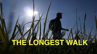 The Longest Walk  Waltham Cross to Welwyn Garden City [upl. by Nawoj]