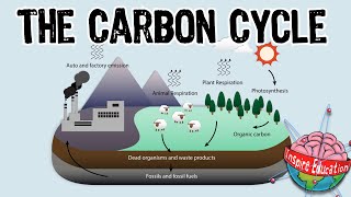 Carbon Chains 111  Organic Chemistry  NCEA Level 2 Chemistry  StudyTime NZ [upl. by Ailaht280]