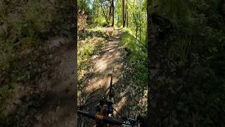 Getting sprayed by a skunk Mountain Biking in Oregon shorts mtb fail [upl. by Ycul]