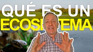 ¿QUÉ ES UN ECOSISTEMA Y CUÁNTAS CLASES HAY [upl. by Castorina]