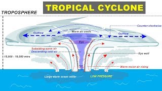 Tropical Cyclone Hurricane Storm Formation explained  Cyclone Biparjay in Arabian Sea Gujarat [upl. by Sitruc]