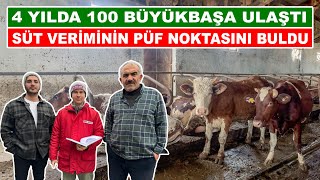 4 Yılda 100 Büyükbaşa Ulaştı  Süt Veriminin Püf Noktasını Buldu [upl. by Draneb]