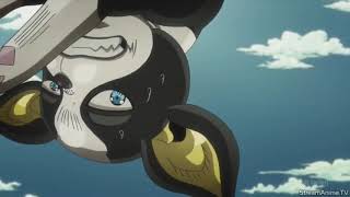 JoJo Iggy vs Pet Shop Part 1 Eng Dub [upl. by Eedyah]