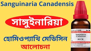 Sanguinaria Canadensis Homeopathic Medicine Explain Sanguinaria 30 Sanguinaria 200 সাঙ্গুইনারিয়া [upl. by Ahsenwahs11]