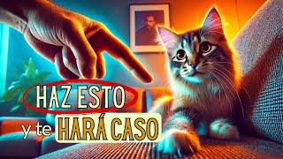 🐾¿Cómo REGAÑAR a tu GATO con AMOR 5 TRUCOS EFECTIVOS para MEJORAR su CONDUCTA 🐱💞 [upl. by Ahsieka]