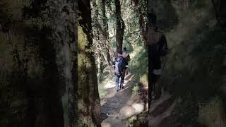 Binsar mahadev yatra pahadilifestylevlog [upl. by Urania]