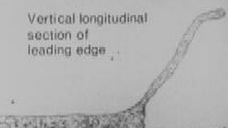 Cell locomotion I 196 [upl. by Nelluc]