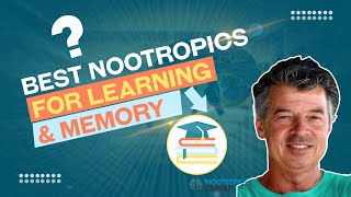 Best Nootropics for Learning and Memory [upl. by Bonilla]