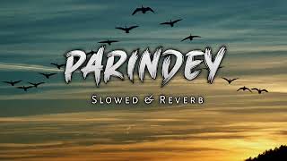 Parindey b praak  gippy grewal PERFECT SLOWED parindeysong [upl. by Taam]