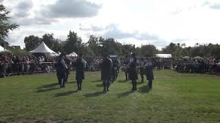 Grade Open MSR Inter Scaldis Pipes and Drums 140924 Alden biesen [upl. by Ilocin660]