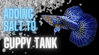 Guppy Fish Care – Adding Salt to Guppy Tank – The Complete Guide [upl. by Lamberto]