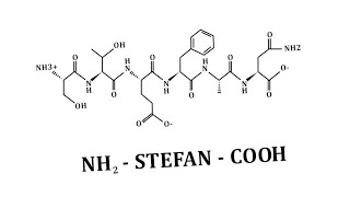 Phosphoglyceratkinase mutase Enolase und Pyruvatkinase  Glykolyse und Gluconeogenese 526 [upl. by Beaufert483]