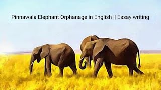 Pinna Wala Elephant Orphanage in English  Essay writing [upl. by Okwu]