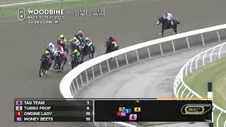 Woodbine Tbred November 11 2023 Race 5 [upl. by Aracat]