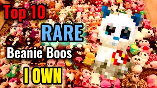 Top 10 RARE Beanie Boos That I Own [upl. by Shep]