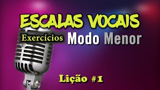 Técnica Vocal Iniciantes  Vocalizes Sobre Escalas  Modo menor [upl. by Higbee]