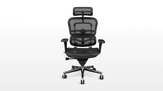 Ergohuman V2 Chair Review  Ergohumancom [upl. by Yetnom]