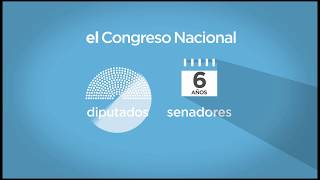 Diferencia entre cámara de senado y diputados [upl. by Cesaria52]