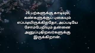 நீதிமொழிகள் 102132 bible reading [upl. by Alrich338]