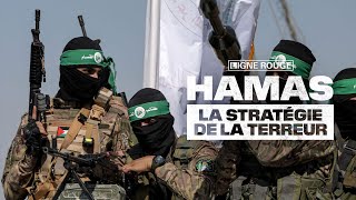 Hamas la stratégie de la terreur [upl. by Weider506]