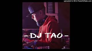 Este Pedacito Es Tuyo  DJ TAO [upl. by Gregorius836]