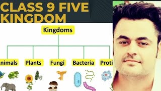 five kingdom system  classification of living organisms  viral video five kingdom systemkingdom [upl. by Jerol]