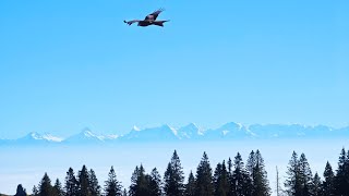 Szwajcaria Góry Jura Chasseral [upl. by Ocisnarf823]