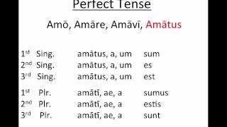 Latin Grammar  Perfect System Passive Indicative Simple [upl. by Bilak]