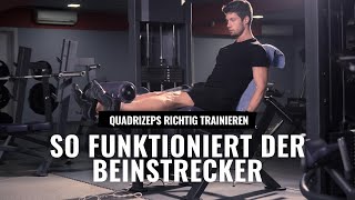 So funktionieren Beinstrecker Trainiere deine Quadrizeps richtig effektiv und verletzungsfrei [upl. by Lsiel]