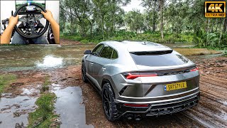 Lamborghini Urus  OFFROAD  Forza Horizon 5  g29 gameplay [upl. by Allis]