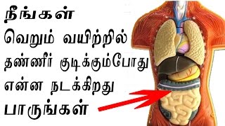 வெறும் வயிற்றில் தண்ணீர் குடிப்பதால் நன்மைகள்  Health Benefits Of Drinking Water On Empty Stomach [upl. by Yumuk626]