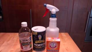 Homemade Flea amp Tick Repellent for Pets [upl. by Chic]