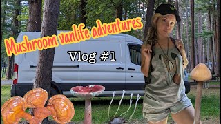 Mushroom Vanlife Adventures  Vlog 1 [upl. by Laura588]