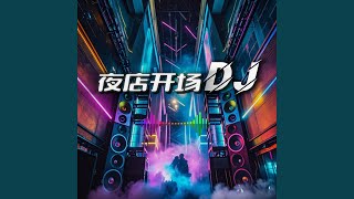 夜店开场气氛DJ [upl. by Anniahs246]