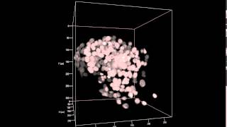 ZEISS Lightsheet Z1 Human tumour spheroid [upl. by Lyon767]