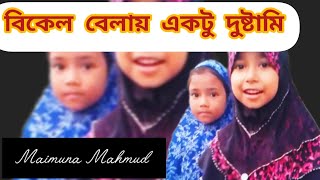 বিকেল বেলায় একটু দুষ্টামি 🥰  My vlog vedio Maimuna Mahmud [upl. by Haimrej]