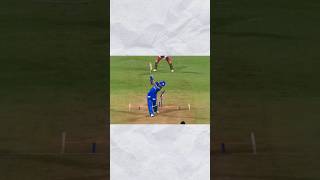 Stumps broken in cricket shorts cricket [upl. by Noach]