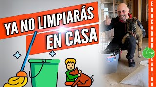 5 Tips Para EDUCAR y ENSEÑAR CACHORRO a HACER sus NECESIDADES Sin Equivocarse de Lugar [upl. by Chaiken]