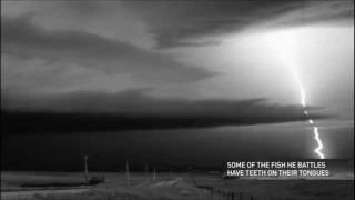 Incredible Slow Motion Lightning Strike 1 sec  3 min [upl. by Apfel]