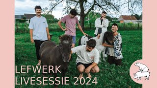 Lefwerk  Livesessie 2024 [upl. by Aleunam]