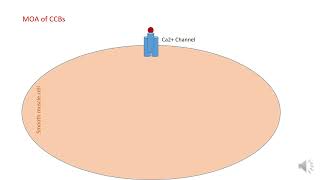 Pharmacology of CCBs [upl. by Aita]