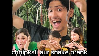 AJ MANIE KIYA CHHIPKALI 🦎AUR SNAKE 🐍 PRANK 😱🤣 [upl. by Irabaj]