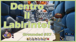 Il Tavolino Da PicNic  Grounded 37 [upl. by Deeyn]