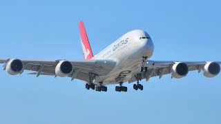 1st Ever A380 Qantas QF63 Arrival from Johannesburg  Sydney Airport 11024 [upl. by Valry]