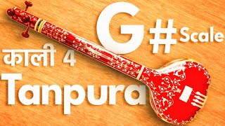 G Tanpura  Original Sound  Best for Singing Meditation  G sharp  Kali 4 [upl. by Cannon]