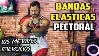 🔴 Los Mejores Ejercicios PECTORAL  BANDAS ELÁSTICAS [upl. by Annij]