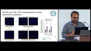 MLCB 2024 Akshat Singhal UC San Diego A deep learning model of tumor cell architecture elucidates [upl. by Ayle]