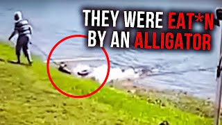 Woman And Her Dog Were Eatn Alive By An Alligator The Monstrous Incident Was Caught On Camera [upl. by Carolyn]